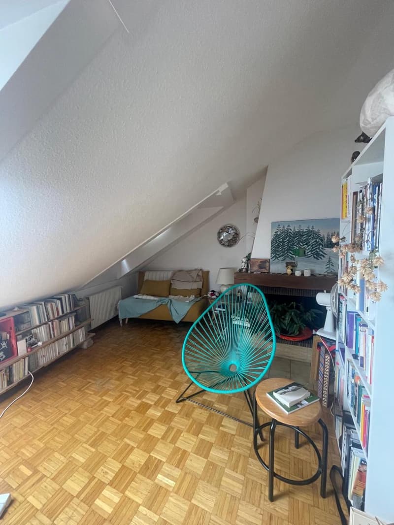 Appartement de 2 pièces au centre de Nyon (3)