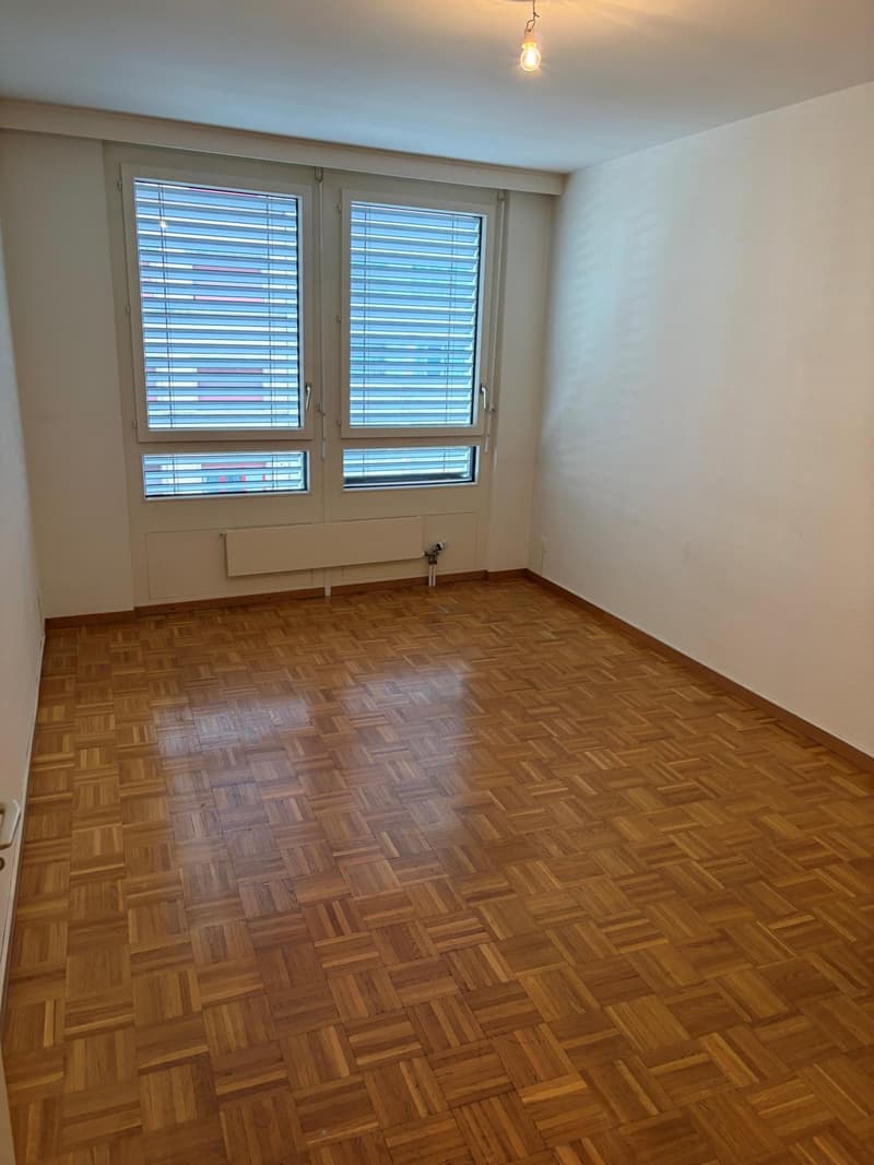 Appartement de 3 pièces à Genève (2)