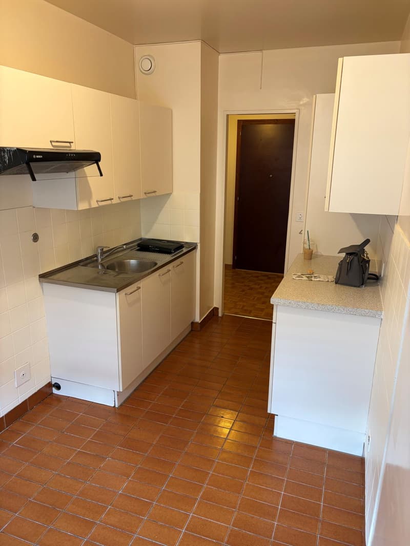 Appartement de 3 pièces à Genève (3)