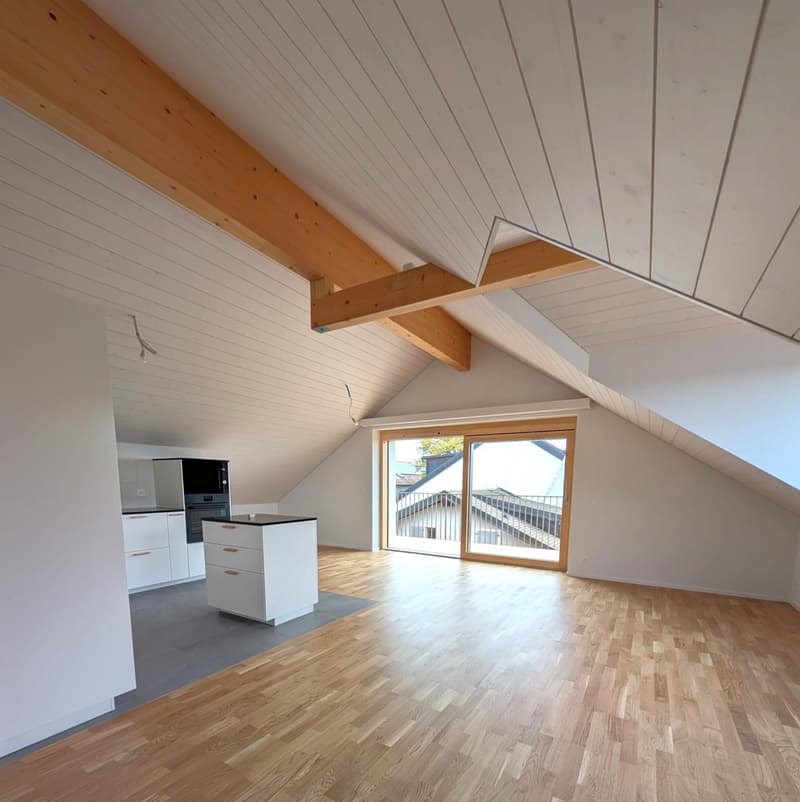 Bel appartement de 4.5 pièces en duplex dans une magnifique maison rénovée (1)