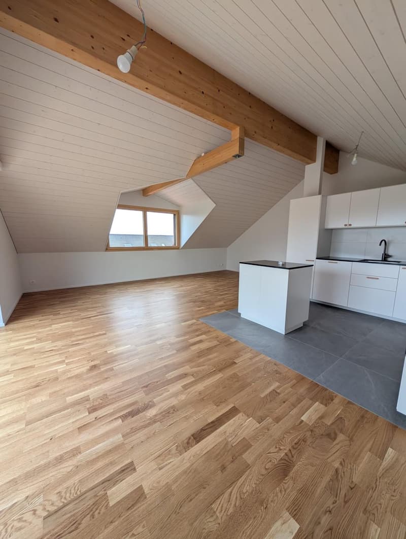 Bel appartement de 4.5 pièces en duplex dans une magnifique maison rénovée (2)