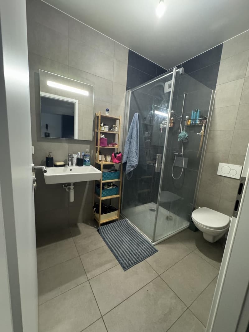 Magnifique appartement de standing de 2,5 pièces à Nyon (5)