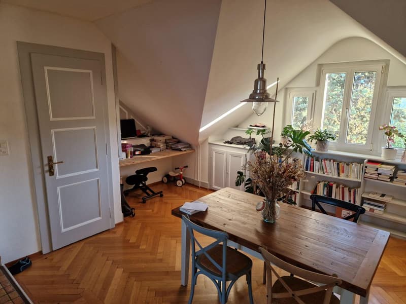 Appartement de 4 pièces dans les combles (7)