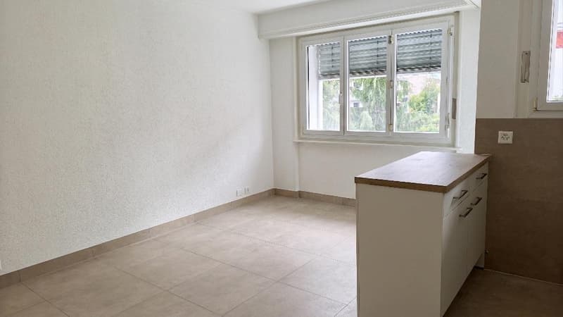 Bel appartement de 2 pièces à Nyon (2)