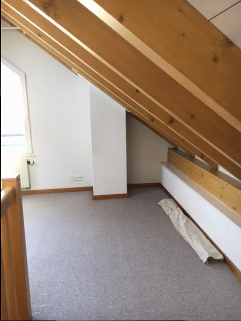 Charmant appartement de 2 pièces avec mezzanine (3)