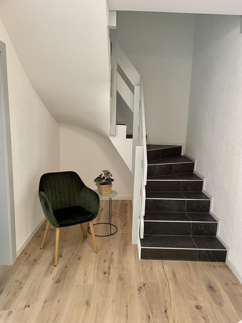 Charmant duplex de 3.5 pièces avec jardin (4)