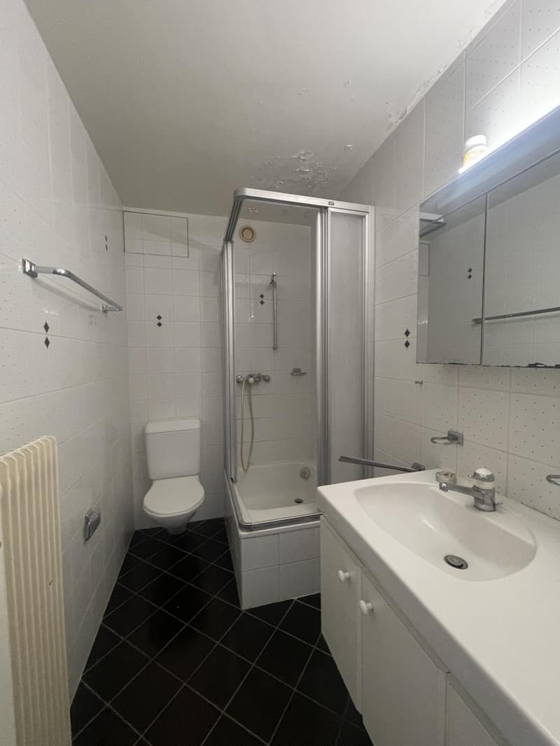Studio à deux pas du Château de Prangins (4)