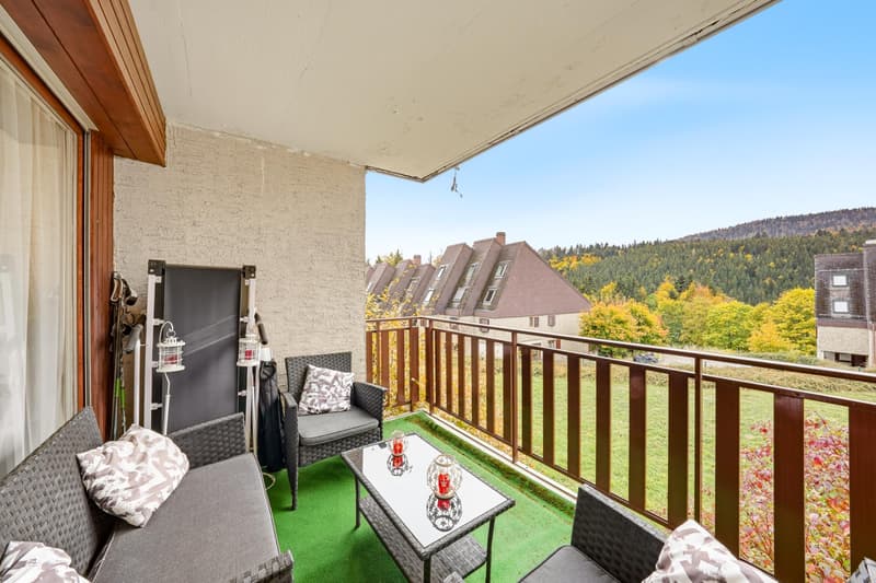 Appartement 3,5 pièces avec balcon à St-Cergue (4)