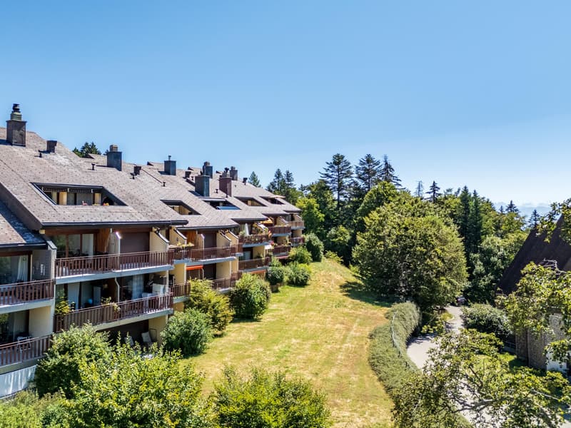 Appartement 3,5 pièces avec balcon à St-Cergue (2)