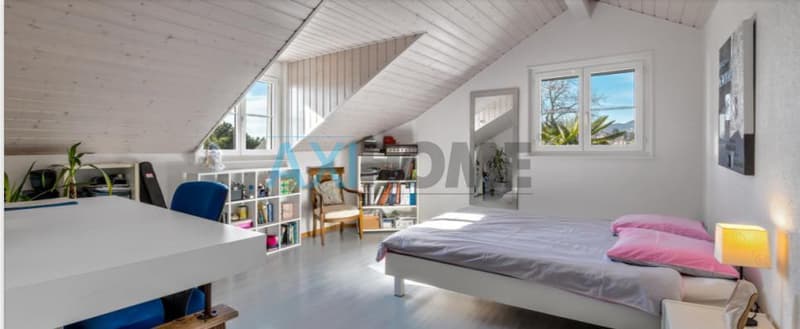Charmante villa de type vaudoise (11)