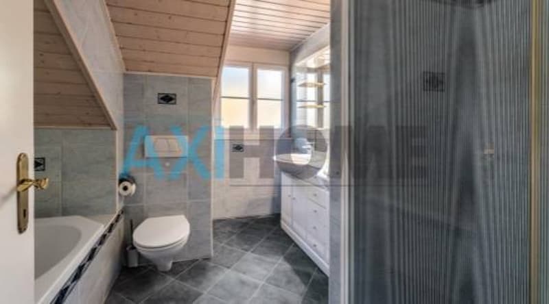 Charmante villa de type vaudoise (9)