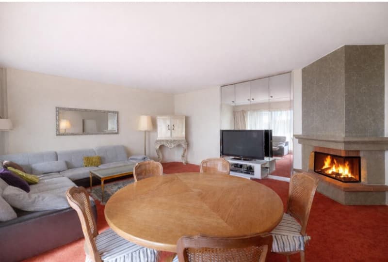 Appartement avec terrasse exceptionnelle (5)