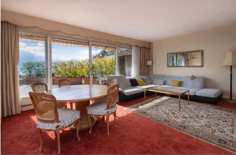 Appartement avec terrasse exceptionnelle (4)