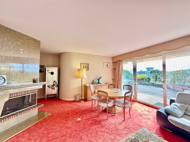 Appartement avec terrasse exceptionnelle (3)