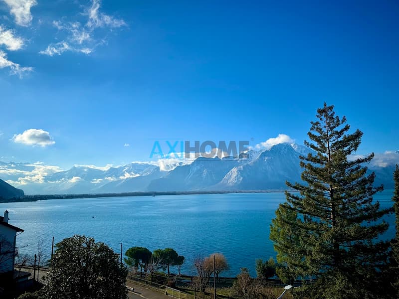 EN EXCLUSIVITÉ, à deux pas du lac avec vue exceptionnelle (2)