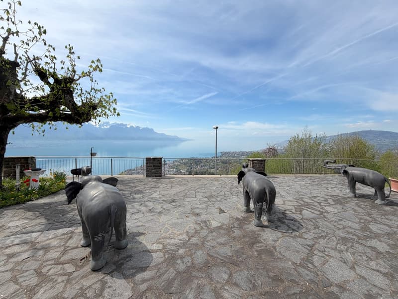 EN EXCLISIVITÉ ! Villa de maître avec vue panoramique sur Montreux (2)