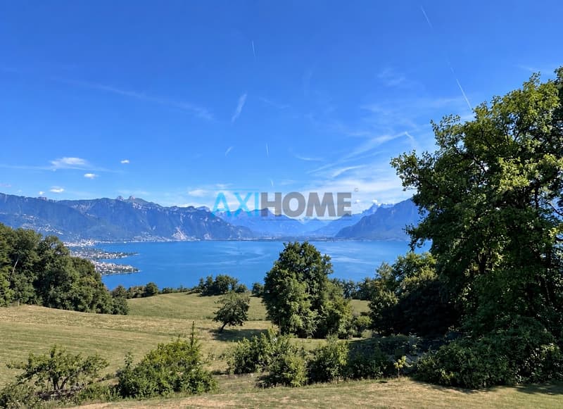 Un cadre de vie rare face au Léman (2)