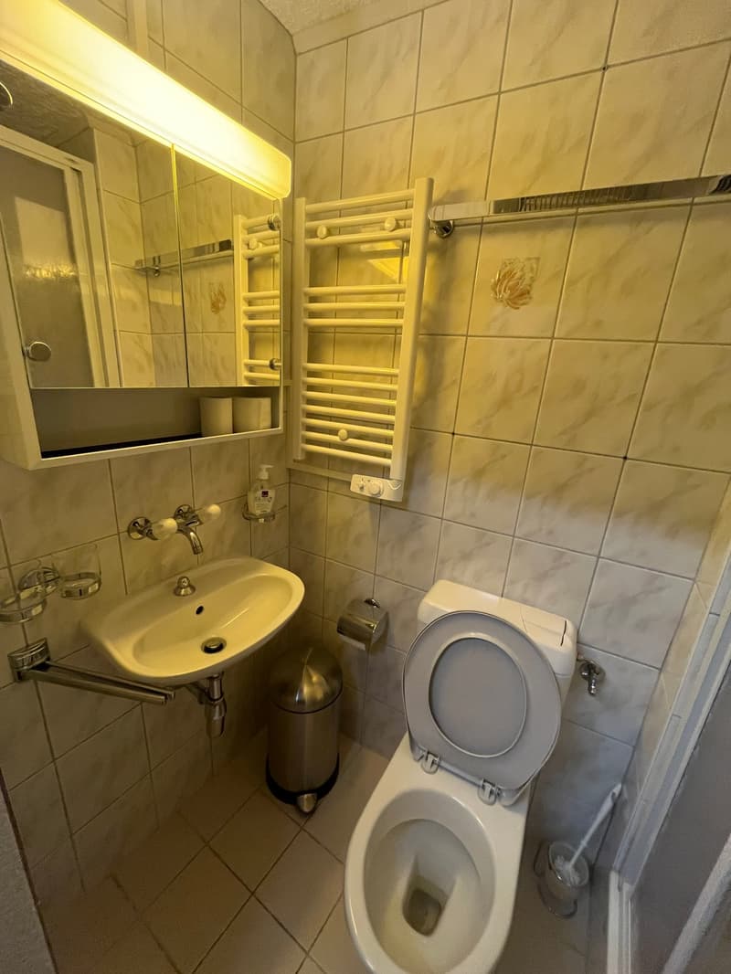 small bathroom with toilet, sink, mirror, towel rack, trash can, and shower
