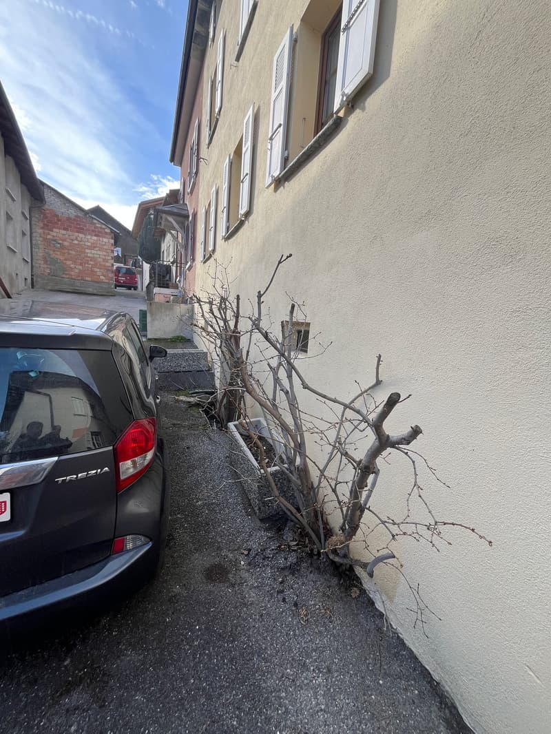 Building exterior with a car parked, a tree branch, and a red car in the background.