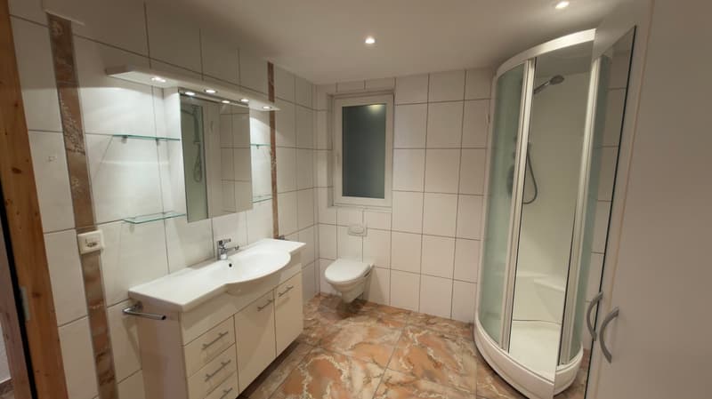 Loft lumineux avec poutres apparentes à louer à Martigny-Bourg (5)