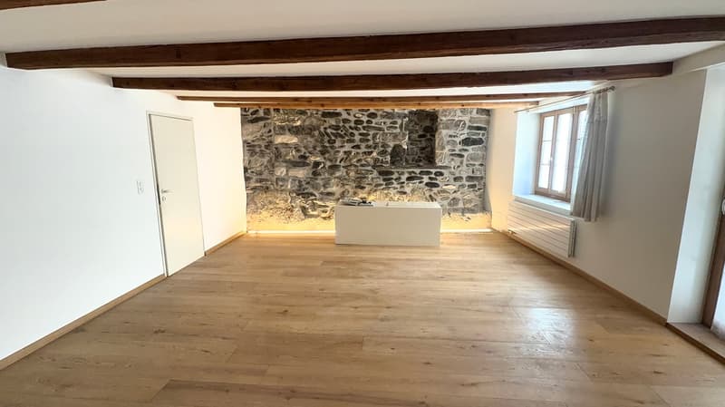 Sion - Appartement de caractère au cœur du centre historique (1)