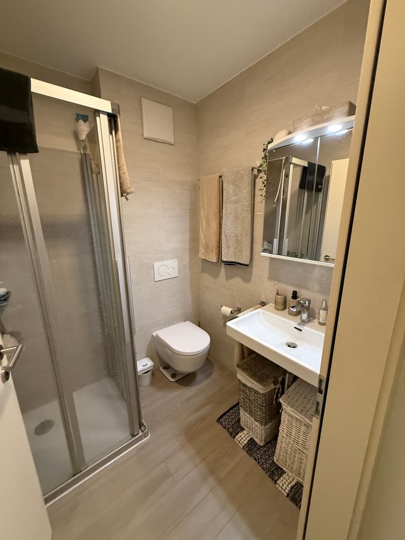 Charmant appartement de 2 pièces avec balcon-terrasse privatif à Martigny (7)