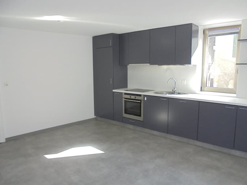 Appartement 2,5 pces (1)