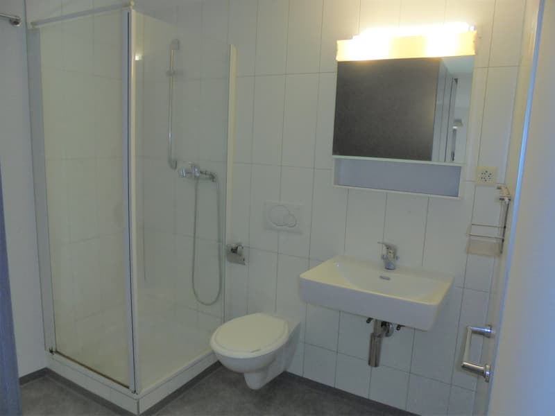Appartement 2,5 pces (4)