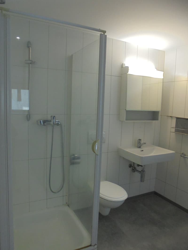 Appartement 2,5 pces (5)