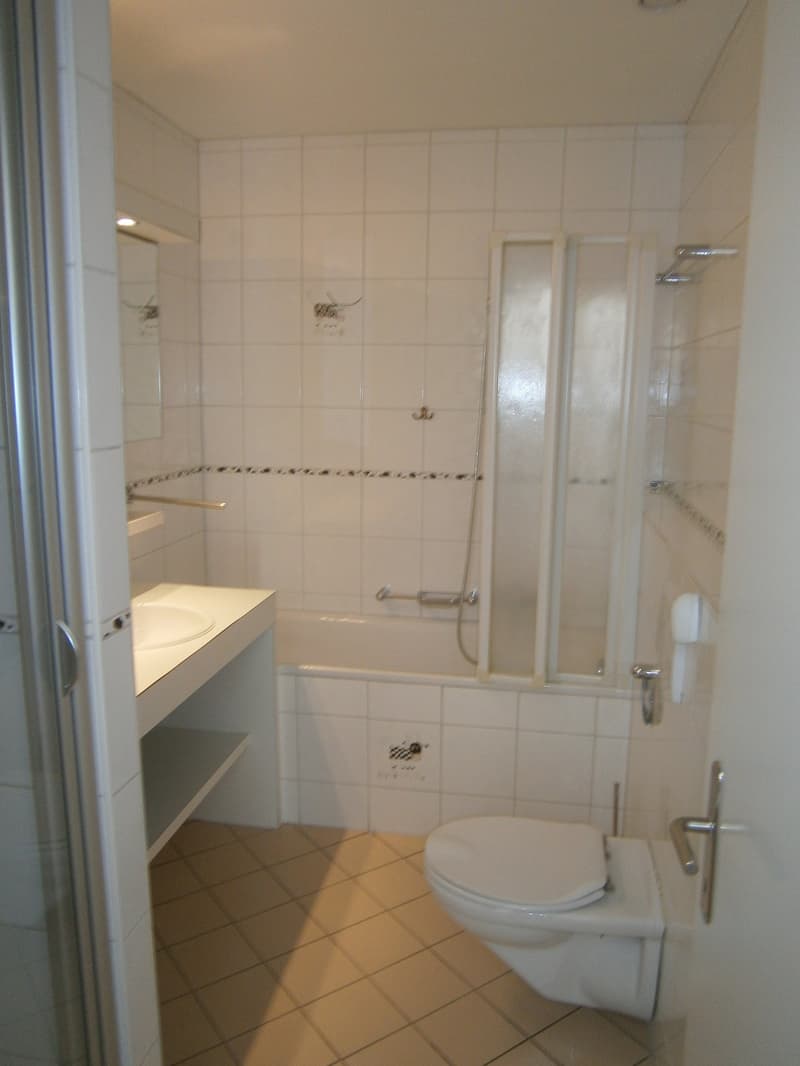 Spacieux appartement-terrasse de 7 pièces au coeur de la Ville de Martigny (12)