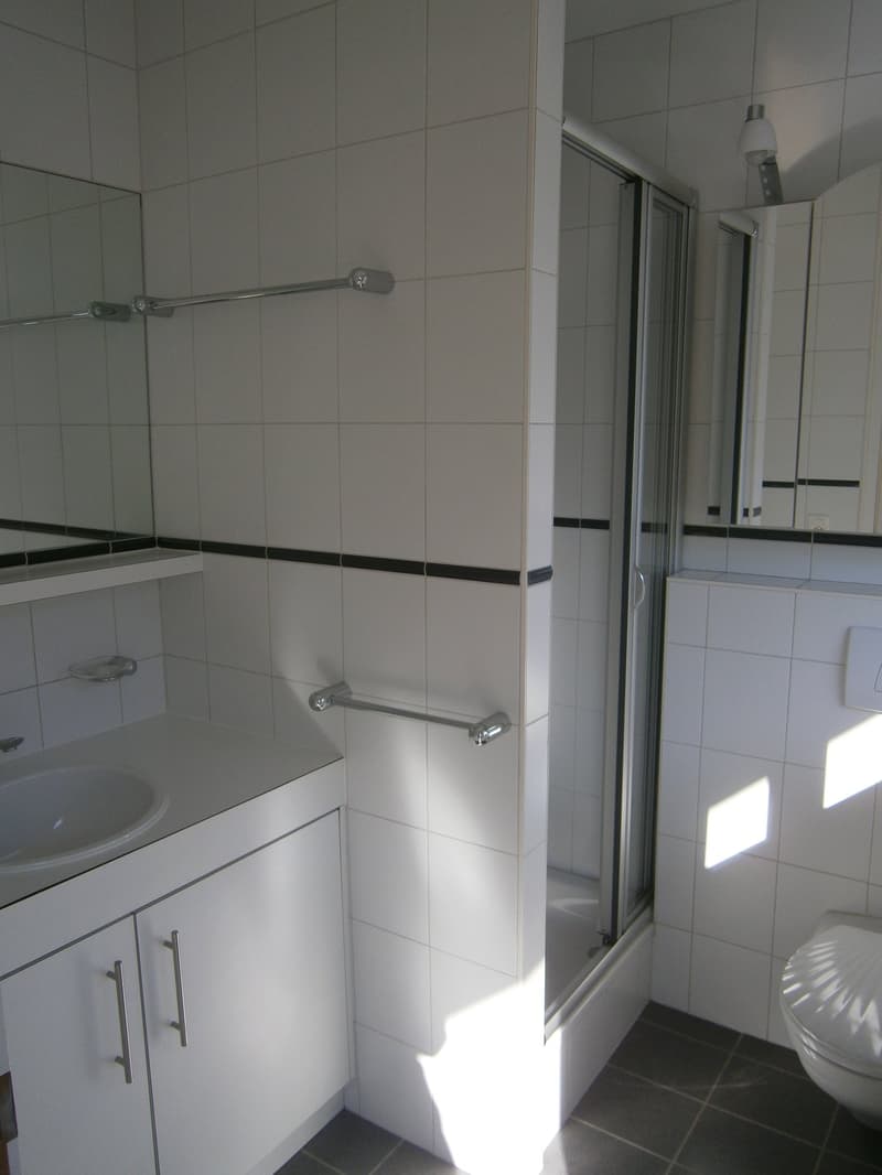 Spacieux appartement-terrasse de 7 pièces au coeur de la Ville de Martigny (8)