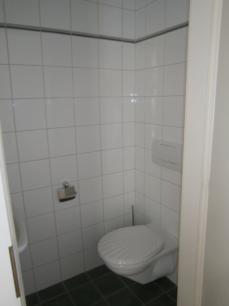 Spacieux appartement-terrasse de 7 pièces au coeur de la Ville de Martigny (13)