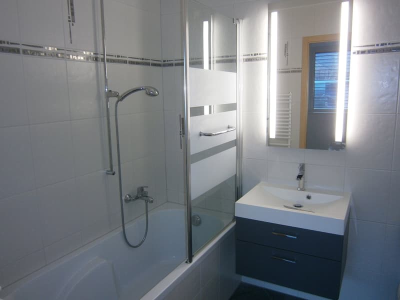 Appartement lumineux de 2 pièces au cœur de Martigny (4)