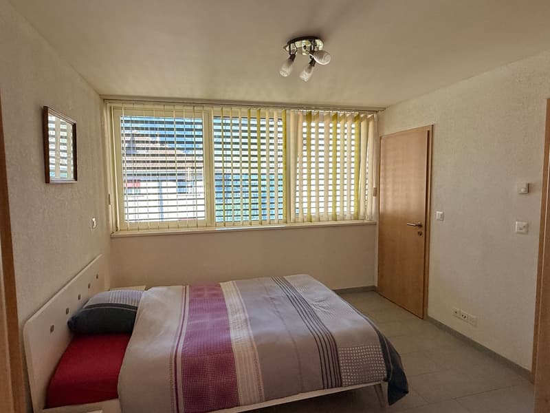 Appartement lumineux de 2 pièces au cœur de Martigny (3)