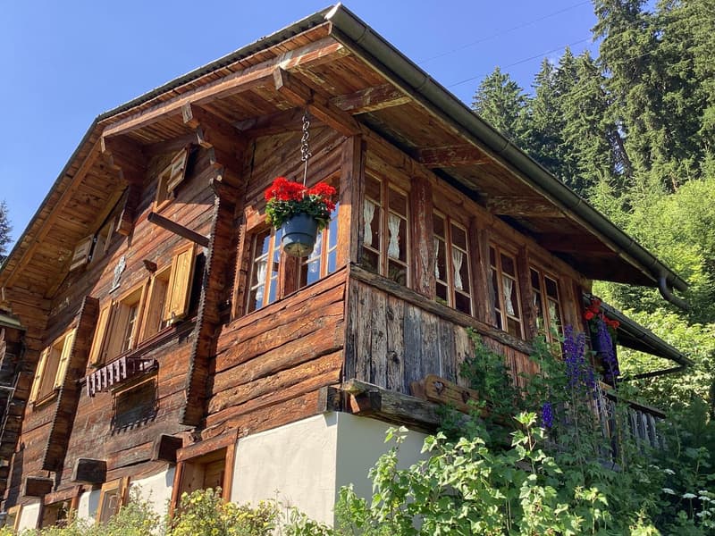 Chalet d'été et son mazot / La Coûte (Hérémence) / EXCLUSIVITE (2)