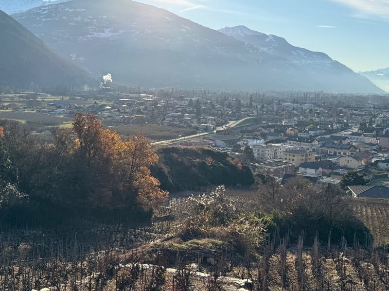 Terrain / St-Léonard / Non morcelable ! / EXCLUSIVITE / réf. 10245452 (4)