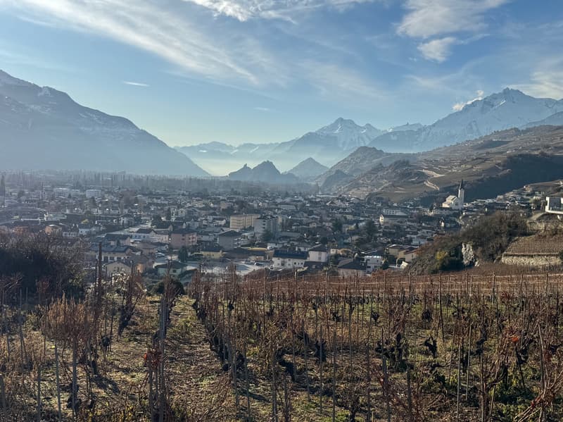 Terrain / St-Léonard / Non morcelable ! / EXCLUSIVITE / réf. 10245452 (3)