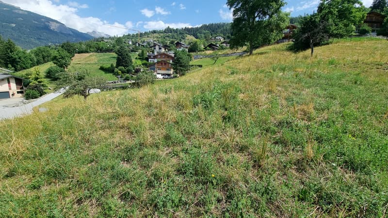 Terrain - 809 m2 - Icogne - EXCLUSIVITE - réf. 10245445 (3)