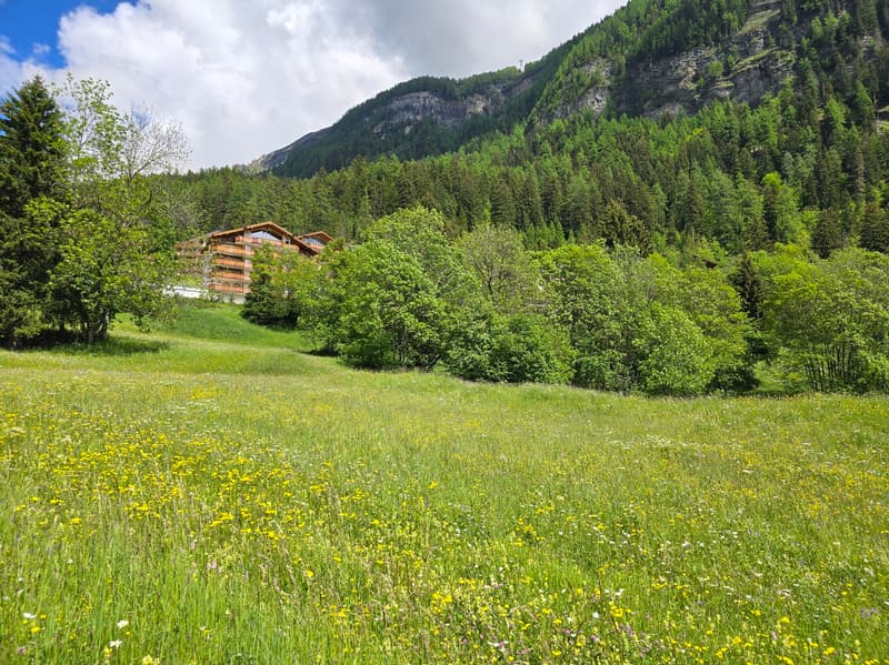 Terrain - 953 M2 - Leukerbad - réf. 10245442 (2)