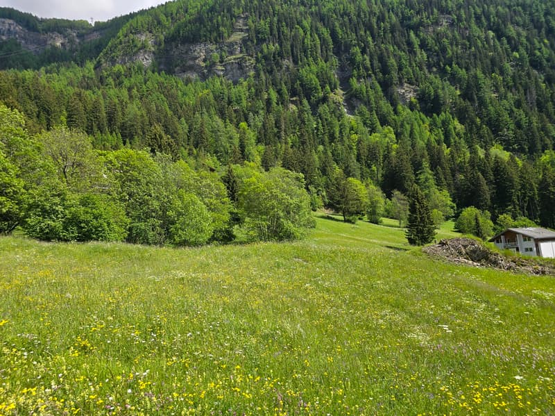 Terrain - 953 M2 - Leukerbad - réf. 10245442 (3)