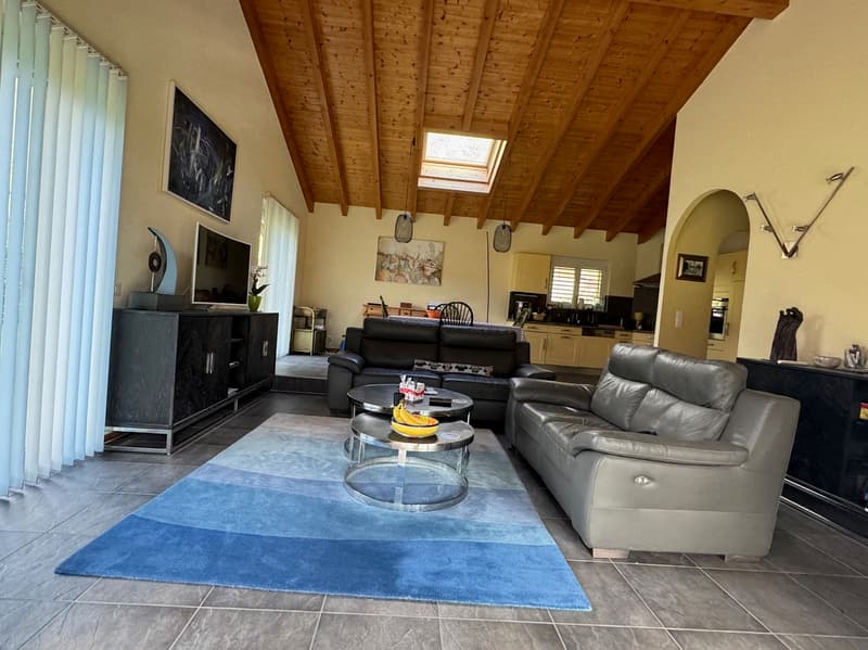 Villa - 4.5 pces - Terrain 1'200 m2 - FULLY - EXCLUSIVITE (12)