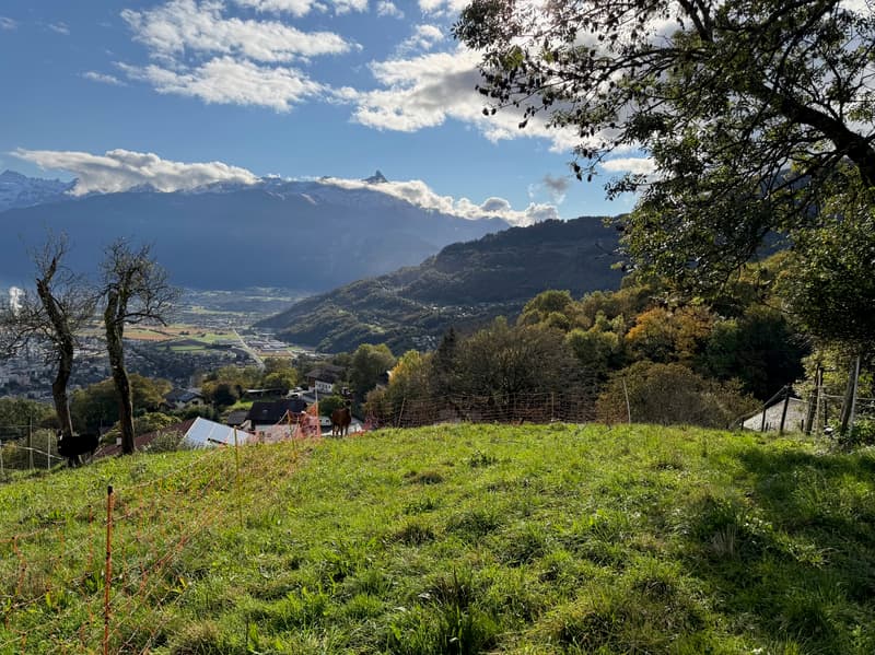 Terrain / Les Neyres / Libre de mandat / EXCLUSIVITE (2)