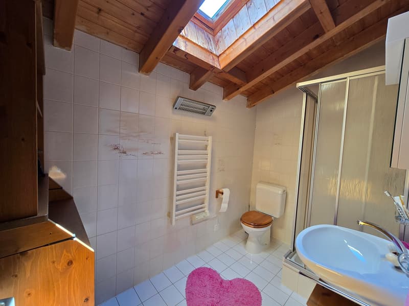 Chalet - 4.5 pces - Daillet - PRIX A DISCUTER - EXCLUSIVITE (13)