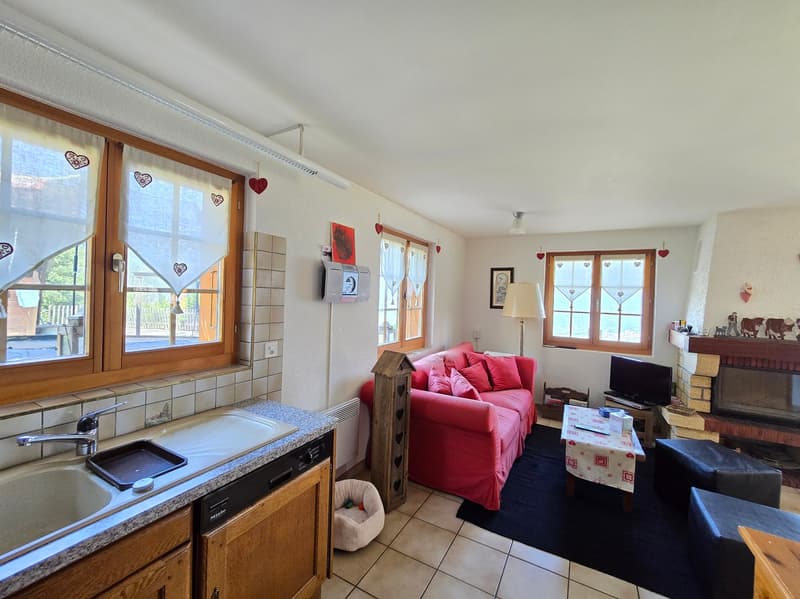 Chalet - 4.5 pces - Daillet - PRIX A DISCUTER - EXCLUSIVITE (5)