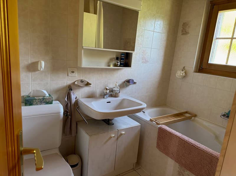 Chalet - 4 pces - La Garde (Sembrancher) - EXCLUSIVITE (13)