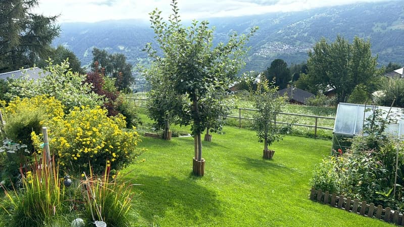 Magnifique chalet - Emplacement d'exception - MASE (VAL D'HERENS) (10)