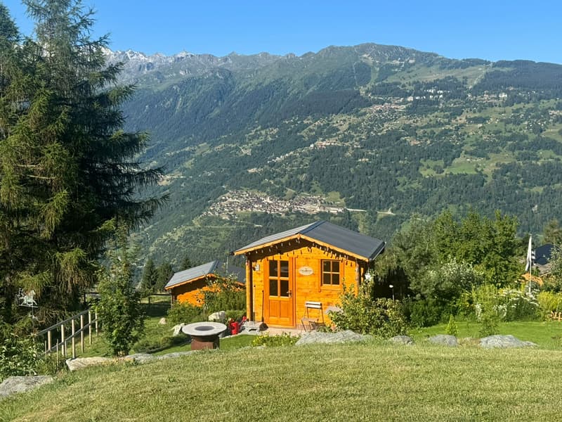 Magnifique chalet - Emplacement d'exception - MASE (VAL D'HERENS) (8)