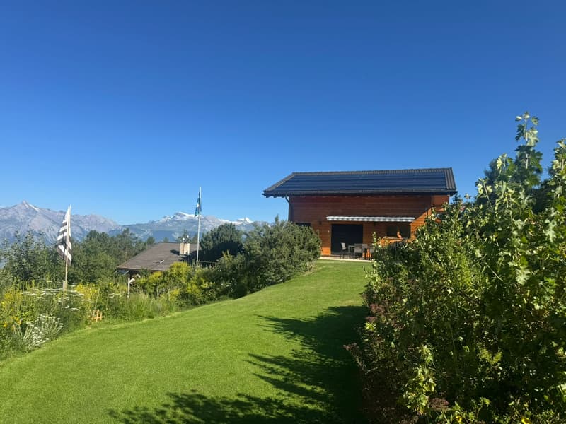 Magnifique chalet - Emplacement d'exception - MASE (VAL D'HERENS) (4)
