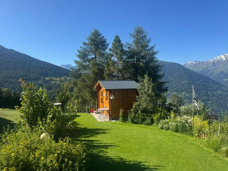 Magnifique chalet - Emplacement d'exception - MASE (VAL D'HERENS) (7)