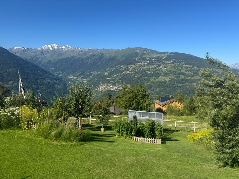 Magnifique chalet - Emplacement d'exception - MASE (VAL D'HERENS) (9)